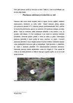 Referāts 'Atkritumi', 9.