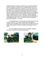 Referāts 'Gāzu sadales mehānisms', 9.