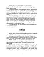 Referāts 'Gāzu sadales mehānisms', 12.