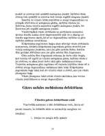 Referāts 'Gāzu sadales mehānisms', 14.