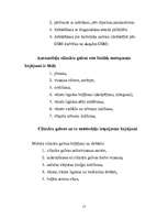 Referāts 'Gāzu sadales mehānisms', 15.