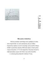 Referāts 'Gāzu sadales mehānisms', 17.