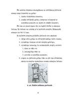 Referāts 'Gāzu sadales mehānisms', 19.