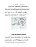 Referāts 'Gāzu sadales mehānisms', 21.