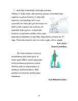 Referāts 'Gāzu sadales mehānisms', 24.