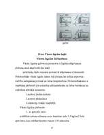 Referāts 'Gāzu sadales mehānisms', 25.