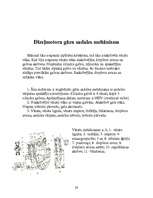 Referāts 'Gāzu sadales mehānisms', 28.