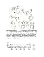 Referāts 'Gāzu sadales mehānisms', 29.