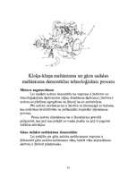 Referāts 'Gāzu sadales mehānisms', 31.