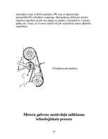 Referāts 'Gāzu sadales mehānisms', 38.