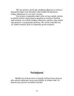 Referāts 'Gāzu sadales mehānisms', 40.