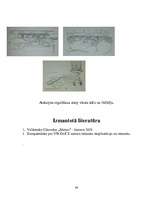 Referāts 'Gāzu sadales mehānisms', 44.