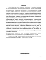 Referāts 'Kriminālsoda jēdziens un mērķis', 14.