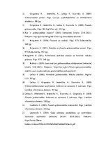 Referāts 'Pašu kapitāla uzskaite un analīze', 36.