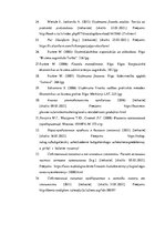 Referāts 'Pašu kapitāla uzskaite un analīze', 37.