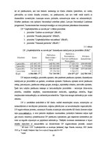 Diplomdarbs 'Projektu vadīšanas nozīme jauniešu mītnes attīstībā', 29.