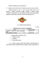 Diplomdarbs 'Projektu vadīšanas nozīme jauniešu mītnes attīstībā', 31.