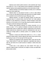 Diplomdarbs 'Projektu vadīšanas nozīme jauniešu mītnes attīstībā', 33.