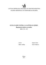 Referāts 'Rupjmaizes sastāvs un analīze', 1.