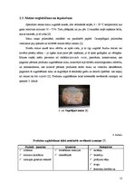 Referāts 'Rupjmaizes sastāvs un analīze', 12.