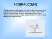 Prezentācija 'Dažādu šķēršļu pārvarēšana, pārvietojoties ar slēpēm', 8.