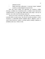 Diplomdarbs 'Biznesa vadība vidēji mazā uzņēmumā', 61.