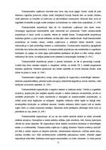 Referāts 'Transnacionālo organizāciju loma starptautiskajā politikā', 13.