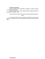 Biznesa plāns 'Biznesa plāns', 3.