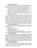 Biznesa plāns 'Biznesa plāns', 4.