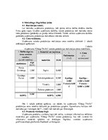 Biznesa plāns 'Biznesa plāns', 5.