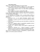 Biznesa plāns 'Biznesa plāns', 8.