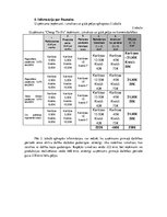 Biznesa plāns 'Biznesa plāns', 9.