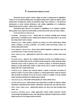 Prakses atskaite 'Grāmatvedības prakse a/s "Swedbank"', 7.