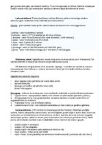 Prezentācija 'Džainisms', 18.