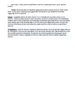 Prezentācija 'Džainisms', 19.