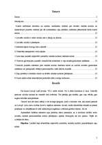 Referāts 'Valodas kultūra interneta saitos', 2.