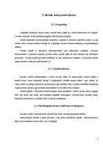 Referāts 'Valodas kultūra interneta saitos', 8.