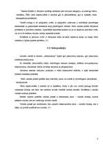 Referāts 'Valodas kultūra interneta saitos', 9.