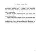 Referāts 'Valodas kultūra interneta saitos', 10.