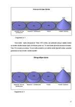 Referāts 'Valodas kultūra interneta saitos', 17.