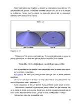 Referāts 'Valodas kultūra interneta saitos', 18.