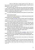 Referāts 'Valodas kultūra interneta saitos', 19.