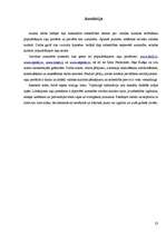 Referāts 'Valodas kultūra interneta saitos', 23.