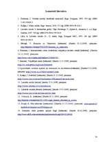 Referāts 'Valodas kultūra interneta saitos', 24.