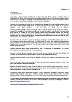 Referāts 'Valodas kultūra interneta saitos', 26.