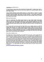 Referāts 'Valodas kultūra interneta saitos', 28.