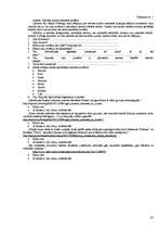 Referāts 'Valodas kultūra interneta saitos', 30.