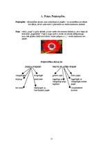 Referāts 'Puķkopība 2', 2.