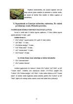 Referāts 'Puķkopība 2', 4.