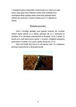 Referāts 'Puķkopība 2', 6.